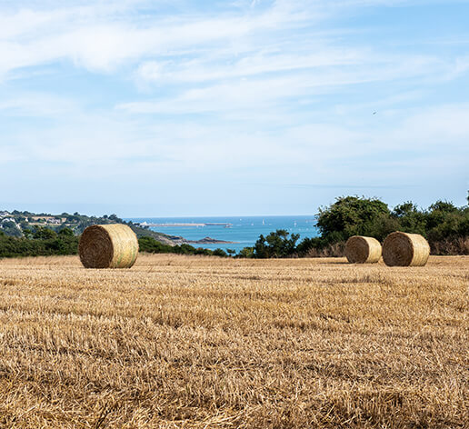 camping-cote-d-armor-la-petite-ville.jpg= Détente et loisirs au cœur des Côtes d’Armor