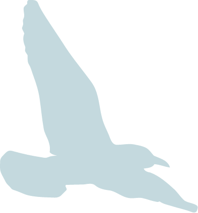 Oiseau