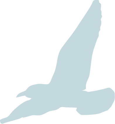 oiseau