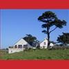 la maison de la baie de st brieuc, véritable nid pour 50 000  oiseaux en hiver