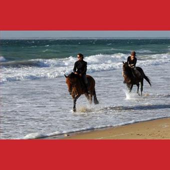 Balade sur la plage